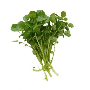 זרעי גרגיר הנחלים