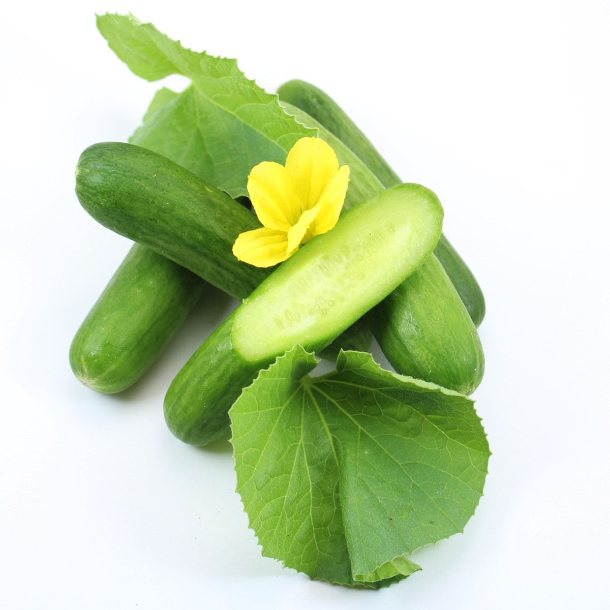 Damascus Cucumber To Beit Alfa Cucumber