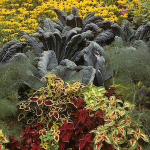 מדריך מעמיק לגידולים משולבים בגן הירק