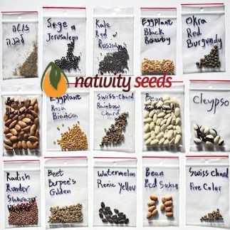 Types Of Seeds - Heirloom / OP / F1 / GMO