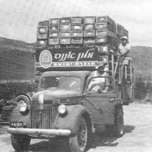 Ananas Yoqne’am Heirloom Melon Origin