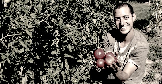 Harel Weiss - Founder of Nativity Seeds